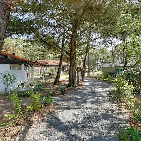 Amazing In * La Faute-sur-Mer